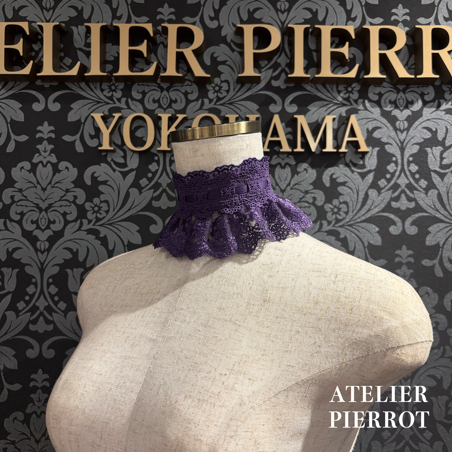 【ATELIER PIERROT】带蕾丝的宽限期螺丝白色/波尔多/紫色/绿色/海军/黑色