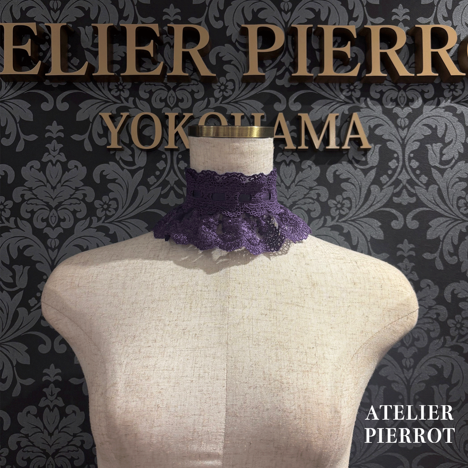 【ATELIER PIERROT】带蕾丝的宽限期螺丝白色/波尔多/紫色/绿色/海军/黑色