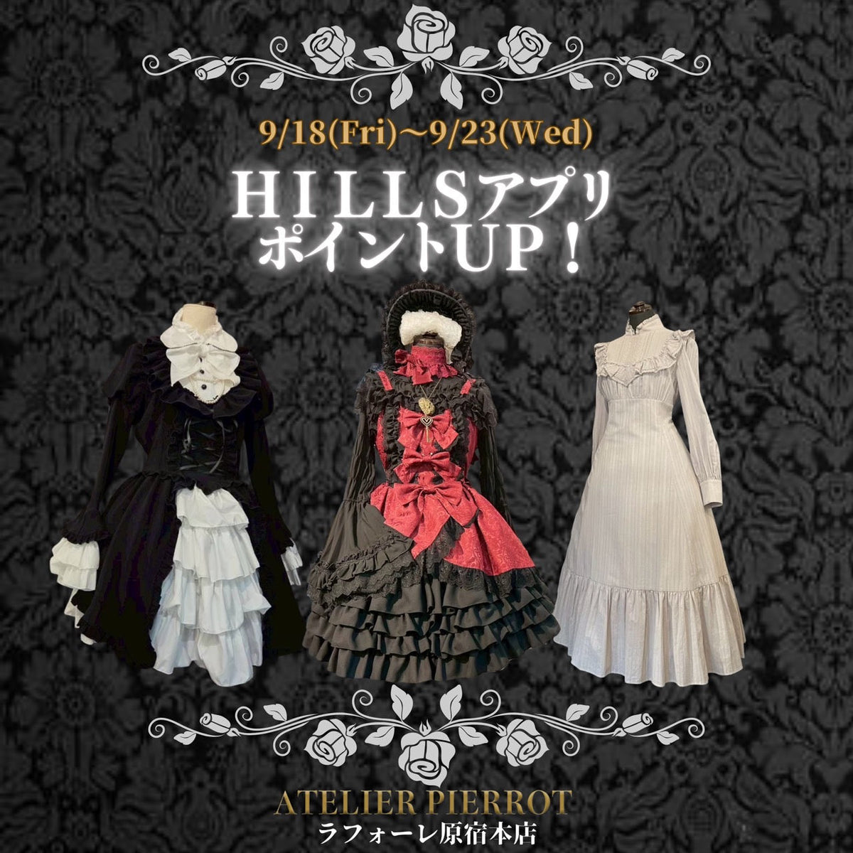 【原宿本店】HILLSポイントアップ＆入会キャンペーン