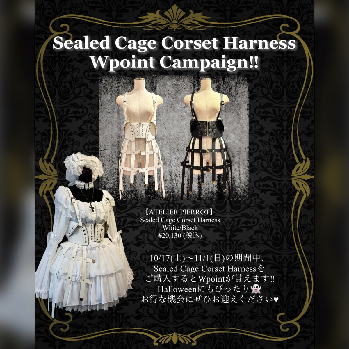 【大阪店】10/17(土)〜11/1(日) Sealed Cage Corset Harness Wポイント‼️