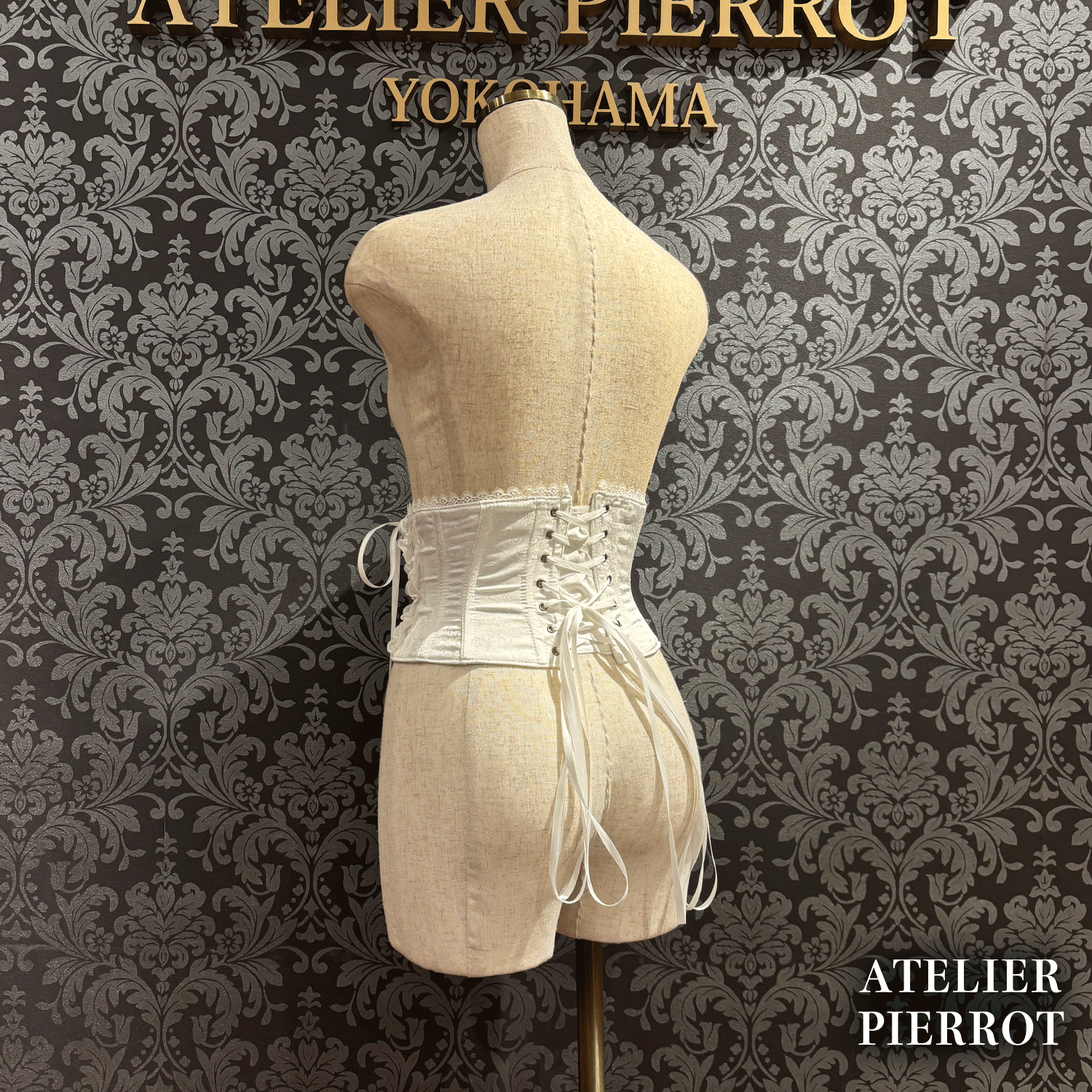 【ATELIER PIERROT】　Thorned Rose Corset　ホワイト/ボルドー/パープル/ネイビー/ブラック×ホワイト/ブラック　★11月中旬〜下旬発売★