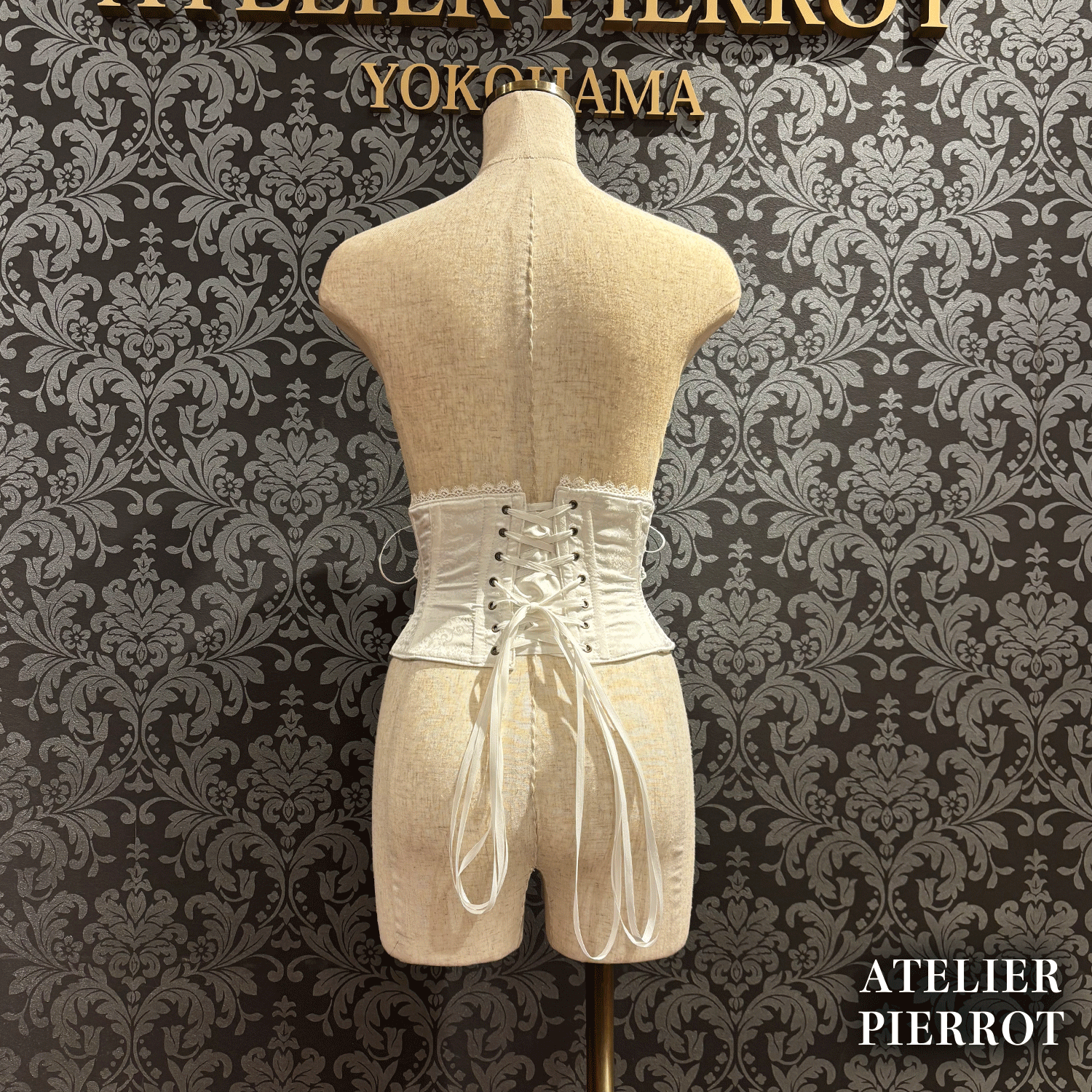 【ATELIER PIERROT】　Thorned Rose Corset　ホワイト/ボルドー/パープル/ネイビー/ブラック×ホワイト/ブラック　★11月中旬〜下旬発売★