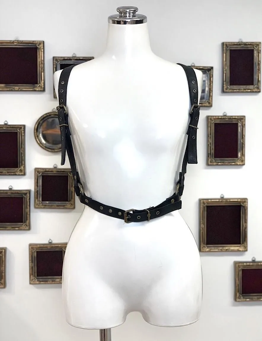 [Na+H]NA Plus H er+ 하네스