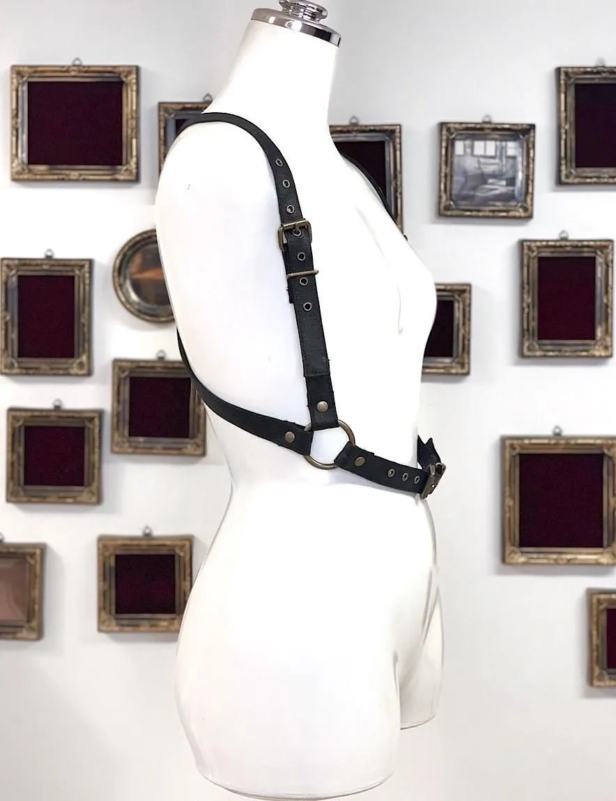 [Na+H]NA Plus H er+ 하네스