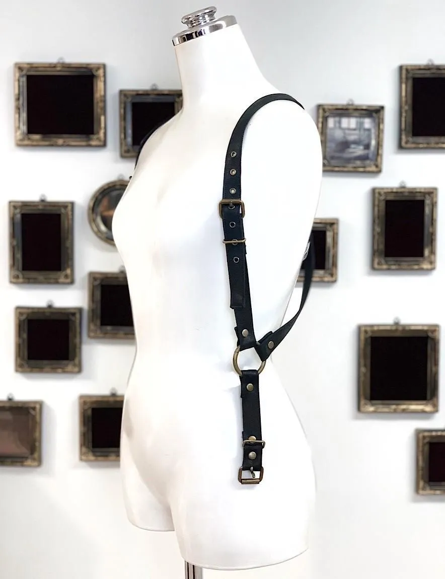 [Na+H]NA Plus H er+ 하네스