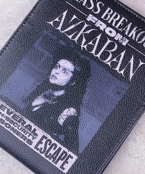 [Flapper] Flapper Harry Potter x Flapper Bellatrix Mirror